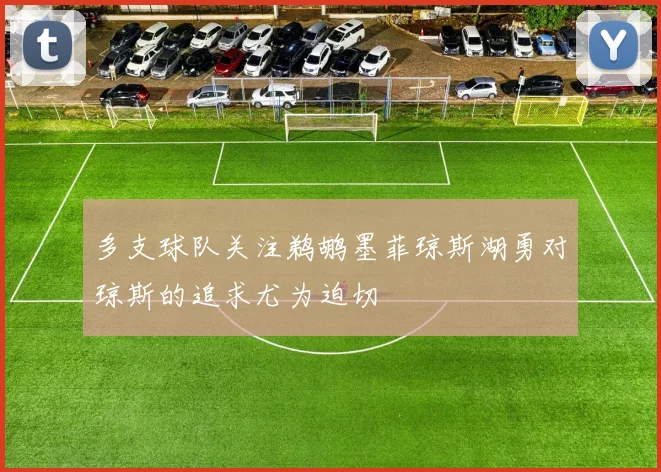 多支球队关注鹈鹕墨菲琼斯湖勇对琼斯的追求尤为迫切
