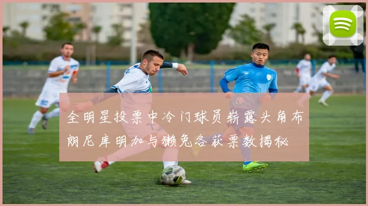 全明星投票中冷门球员崭露头角布朗尼库明加与獭兔各获票数揭秘