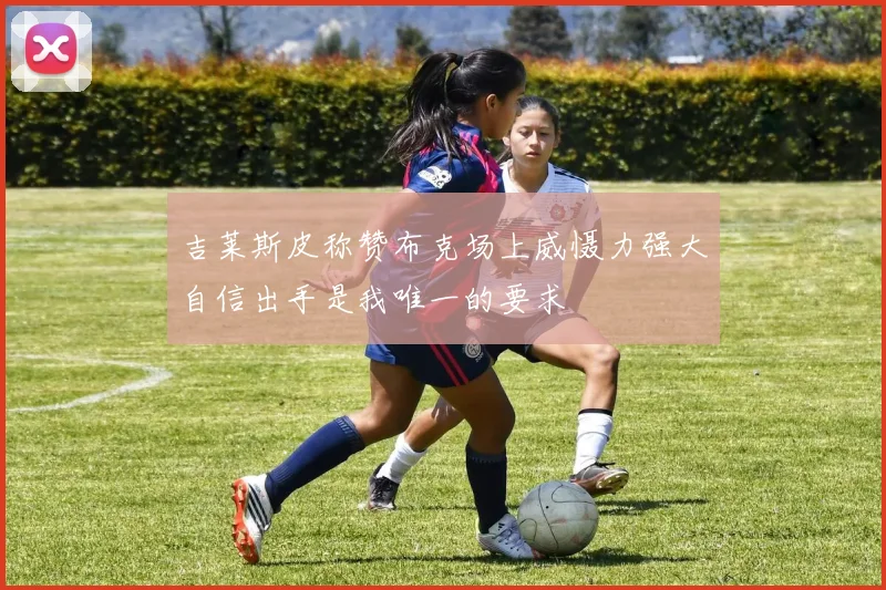 吉莱斯皮称赞布克场上威慑力强大自信出手是我唯一的要求