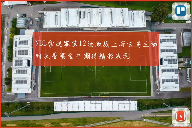 NBL常规赛第12场激战上海玄鸟主场对决香港金牛期待精彩表现