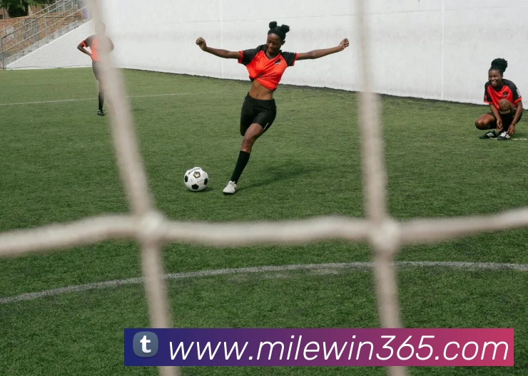 多媒体互动体验